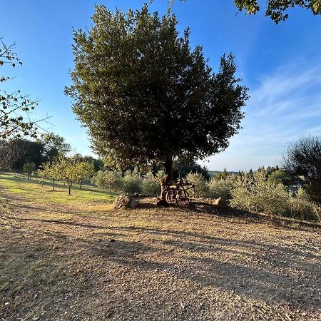 Casale Di Valle Mora Σαν Τζιμινιάνο Εξωτερικό φωτογραφία