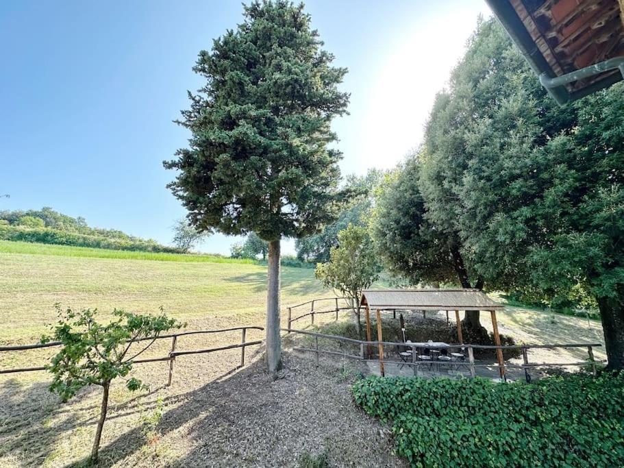 Casale Di Valle Mora Σαν Τζιμινιάνο Εξωτερικό φωτογραφία
