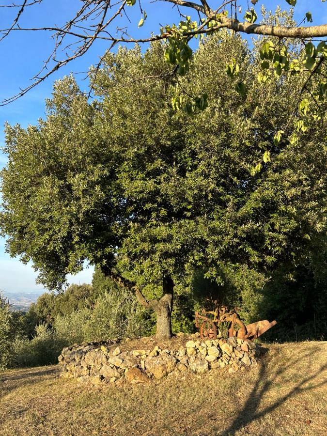 Casale Di Valle Mora Σαν Τζιμινιάνο Εξωτερικό φωτογραφία